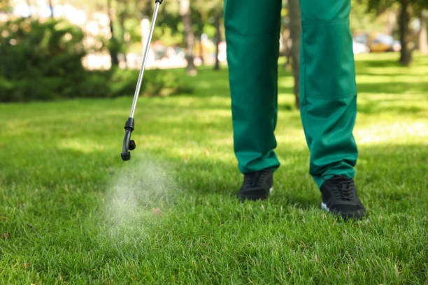 Best Pest Prevention Services  in Patton Village, TX